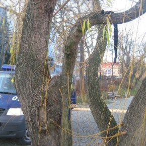 Niedoszły samobójca uratowany