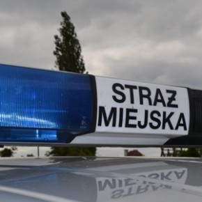 Z altany śmietnikowej do schroniska