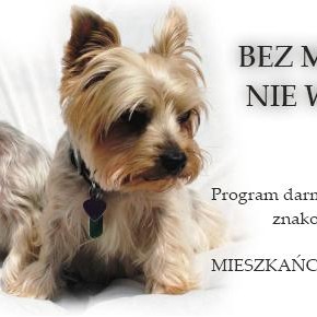 Zaczipuj swojego pupila