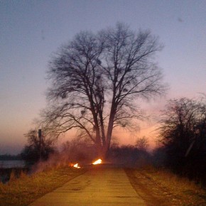 Pożar traw na Wyspie Sobieszewskiej