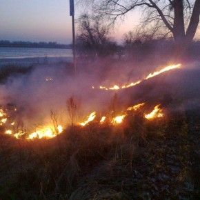 Pożar traw na Wyspie Sobieszewskiej