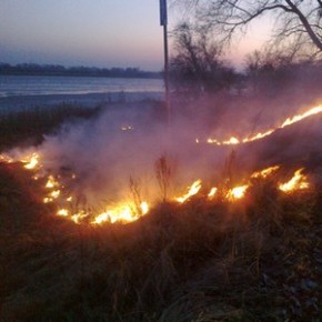 Pożar traw na Wyspie Sobieszewskiej