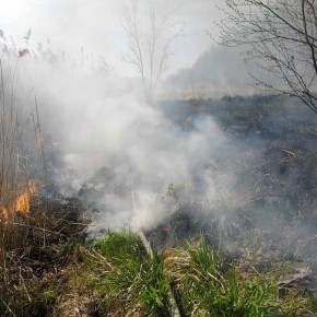 Pożar traw przy ul. Kutnowskiej