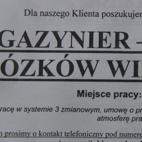 Drzewa nie dla ulotek