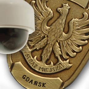 Zażywali na oczach kamer