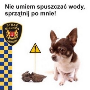 Akcja Pupil na gdańskich ulicach