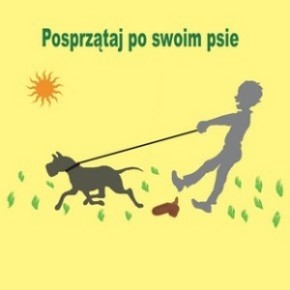 Pupil na północy!