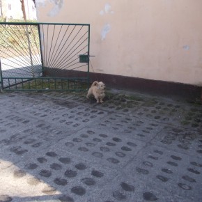 Drzemka na parkingu
