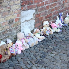 Akcja MIŚ: Nie bij mnie, kochaj mnie! - Gdańsk, 16 kwietnia 2014 r.