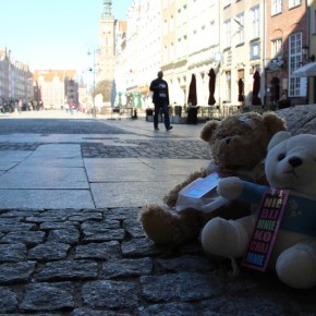 Akcja MIŚ: Nie bij mnie, kochaj mnie! - Gdańsk, 16 kwietnia 2014 r.