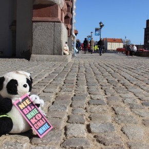 Akcja MIŚ: Nie bij mnie, kochaj mnie! - Gdańsk, 16 kwietnia 2014 r.