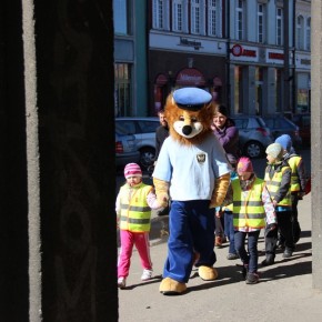 Akcja MIŚ: Nie bij mnie, kochaj mnie! - Gdańsk, 16 kwietnia 2014 r.