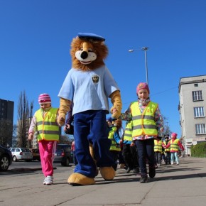 Akcja MIŚ: Nie bij mnie, kochaj mnie! - Gdańsk, 16 kwietnia 2014 r.
