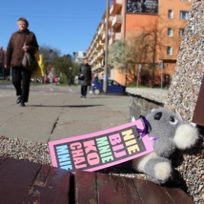 Akcja MIŚ: Nie bij mnie, kochaj mnie!