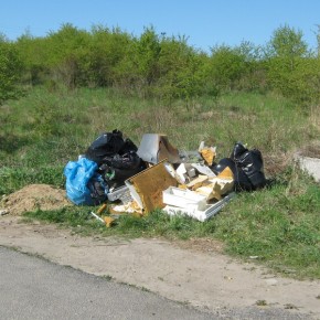 Czyściej na Oruni Górnej i Czterech Porach Roku