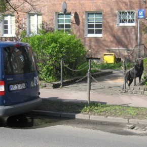 Nie miał szczęścia do właściciela…