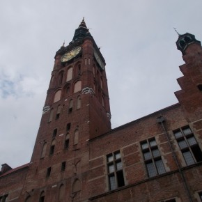 Gniazdo mieściło się na wysokości szóstego piętra