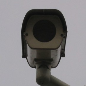 Kłopoty z prawem i ortografią