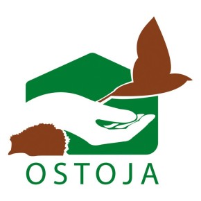 Jeśli znalazłeś rannego ptaka, jeża lub wiewiórkę…