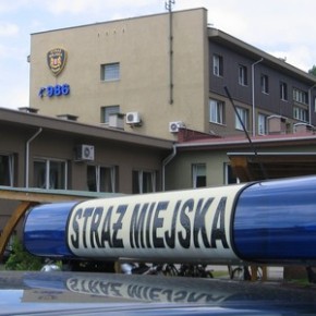Bez prawka, ale za kierownicą
