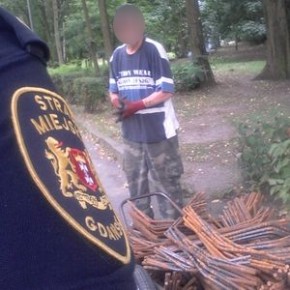 O tym, jak darmowe pręty okazały się cudzą własnością