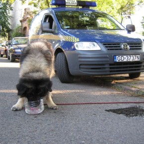 Woda to idealna opcja na duszne popołudnie.