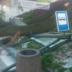 Zmiażdżona wiata przystanku i trzy osoby ranne na Trakcie św. Wojciecha