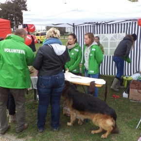 II Zlot Rodzin Adopcyjnych „Bo rodzina jest najważniejsza 2” - Park Reagana w Gdańsku, 18.10.2014 r.
