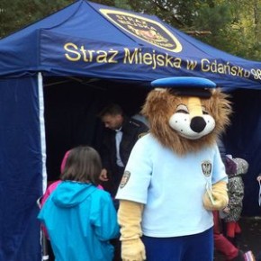 Lwy w gdańskim ZOO!