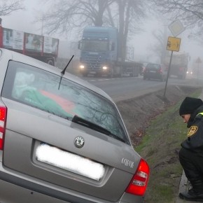 Mgła, czyli dlaczego warto zwolnić