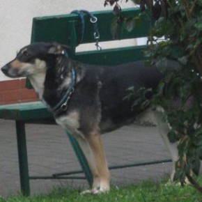 Czy ktoś o nim pamięta? Czy ktoś tęskni?