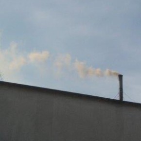 Osowa pod lupą strażników