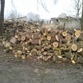 Wycinka przy ul. Świbnieńskiej
