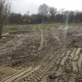 Teren po interwencji - 13.04.2015 r.