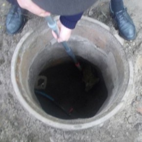 Mały dzik uratowany