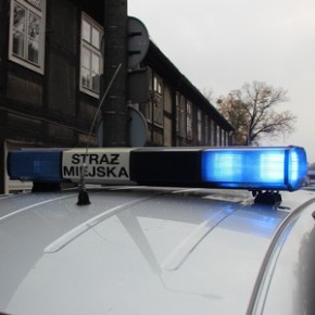 Sklepowy złodziej w rękach strażników