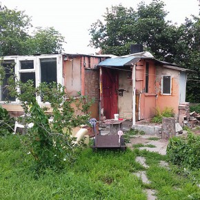 Dwa tygodnie bez jedzenia i picia spędziły dwa psy na działce przy ulicy Modrej w Gdańsku