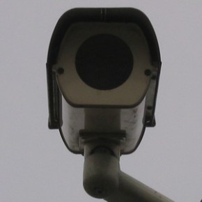 Monitoring wypatrzył marihuanę