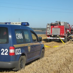 Groźny pożar na Wyspie Sobieszewskiej