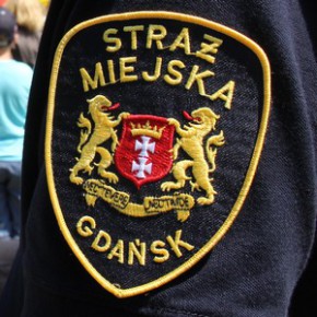 Skusiło go pół litra spirytusu