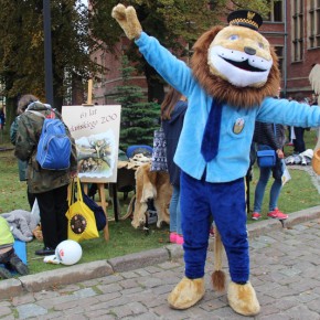 Lew Leoś z wizytą u przyjaciół z gdańskiego ZOO
