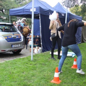 Slalom w alkogoglach