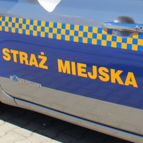 Miał przy sobie nielegalne papierosy