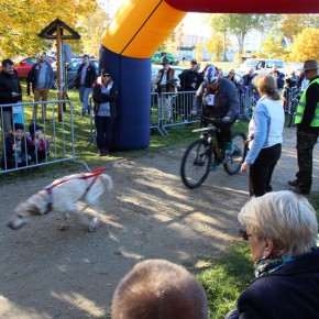 Puchar Polski w Wyścigach Psich Zaprzęgów - Gdańsk, Park Reagana, 24-25.10.2015 r.