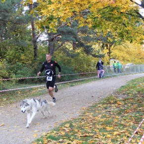 Puchar Polski w Wyścigach Psich Zaprzęgów - Gdańsk, Park Reagana, 24-25.10.2015 r.