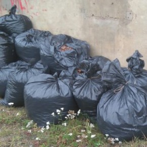 Worki z bagażnika pod płot