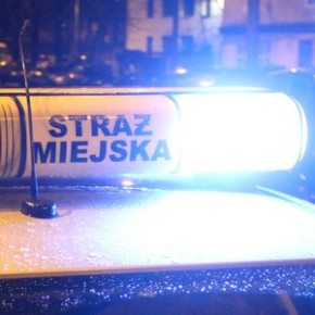 Bez uprawnień, ale za kierownicą