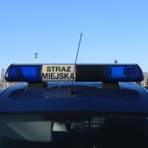 Witaj wiosnę z głową!