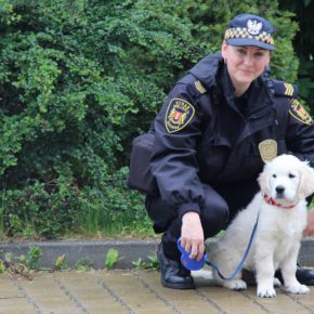 Nowy strażnik w naszych szeregach
