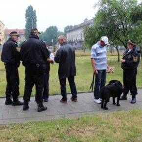 Nowy Port: Posprzątaj po swoim psie…!